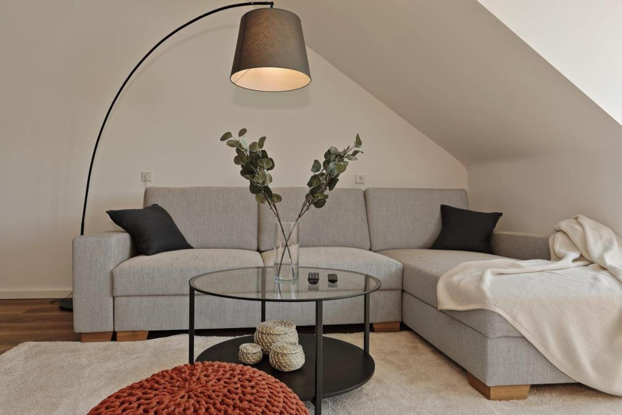 'Traveller Lodge' Grosszuegiges Apartment - 3 Bedroom 10Min To Hbf, Full Kitchen, Homeoffice, Netflix, Wifi Дюссельдорф Екстер'єр фото